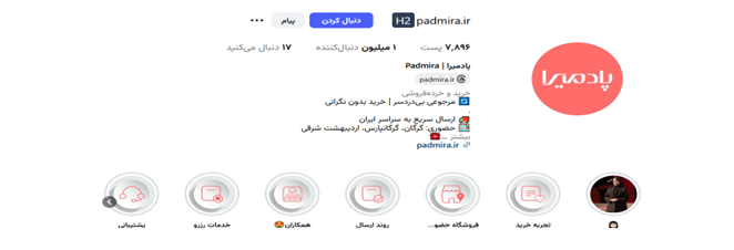 پیج سایت پادمیرا